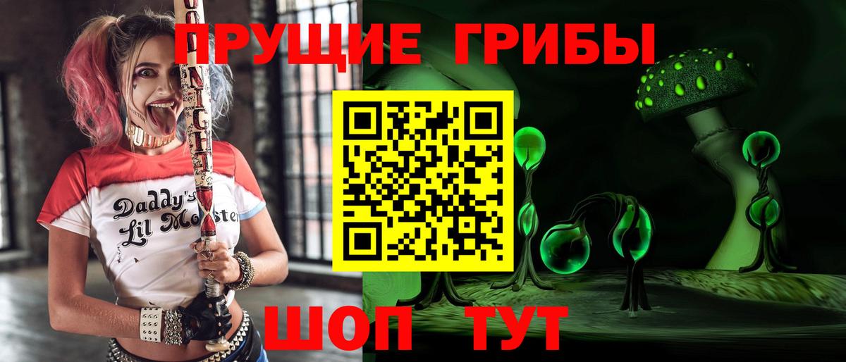 Псилоцибиновые грибы GOLDEN TEACHER  Вход с VPN  Кропоткин  Псилоцибиновые грибы GOLDEN TEACHER 
