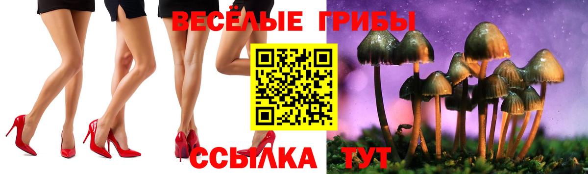 Галлюциногенные грибы Magic Shrooms Кропоткин
